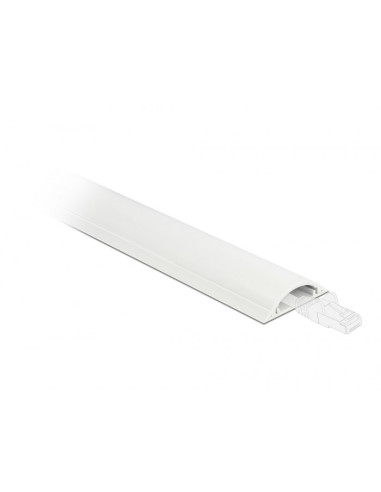 Delock Korytko Kablowe 30 X 8 Mm - Długość 1 M Białe