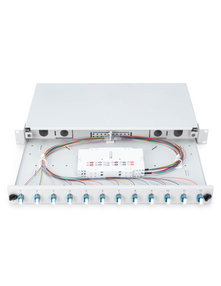 Digitus Dn-96331/9 Panel Drive Bay Szary