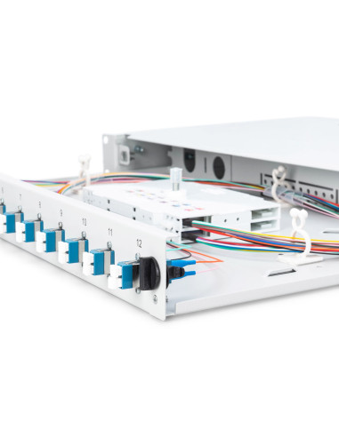 Digitus Dn-96331/9 Panel Drive Bay Szary