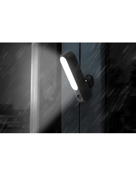 Digitus Inteligenta Kamera Zewnętrzna Full Hd Z Diodami Naświetlającymi Led, Wlan + Sterowaniem Głosowym
