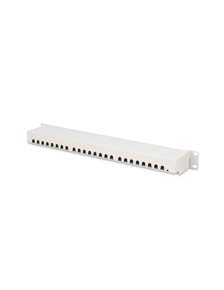 Digitus Panel Krosowy (Patch Panel) 19'' 24X Rj45, Lsa Poziom, Kat.6A, Ekranowany, 1U, Szary, Prowadnica Kabli