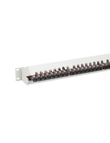 Digitus Panel Krosowy (Patch Panel) 19'' 24X Rj45, Lsa Poziom, Kat.6A, Ekranowany, 1U, Szary, Prowadnica Kabli