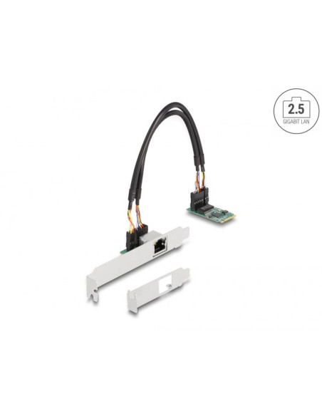 Delock Konwerter M.2 Z Kluczem B+M 1 X Rj45 2,5 Gigabit Lan