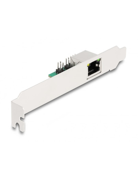 Delock Konwerter M.2 Z Kluczem B+M 1 X Rj45 2,5 Gigabit Lan