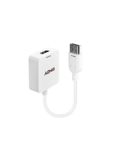 Lindy 38146 Adapter Kablowy Hdmi Typu A (Standard) Displayport Biały