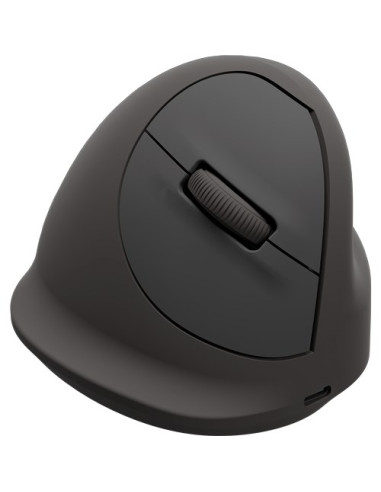 Fellowes 100143584 Myszka Uniwersalne Po Lewej Stronie Bluetooth + Usb Type-C Optyczny 2400 Dpi