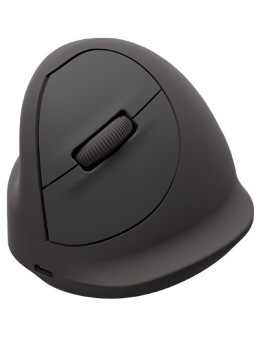 Fellowes 100143583 Myszka Uniwersalne Po Lewej Stronie Bluetooth + Usb Type-C Optyczny 2400 Dpi