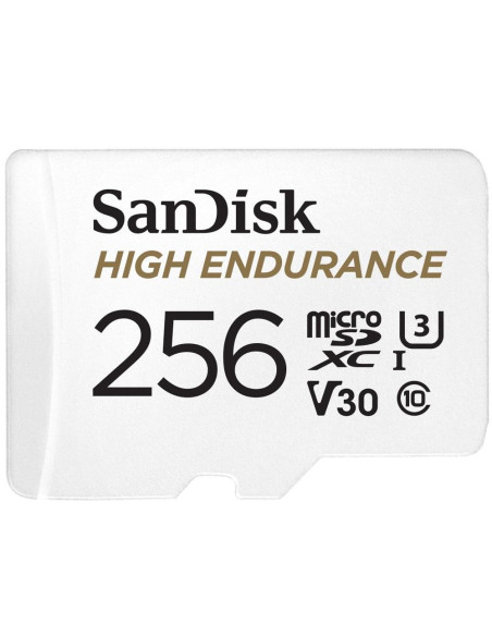 Sandisk 256 Gb Microsdxc Uhs-I Class