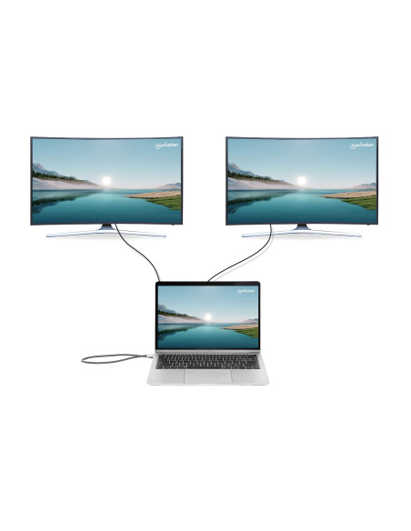 Manhattan 190398 Stacja Dokująca Przewodowa Usb 3.2 Gen 1 (3.1 Gen 1) Type-C Szary