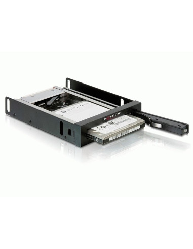 Delock 47194 Panel Drive Bay