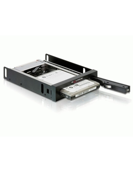 Delock 47194 Panel Drive Bay