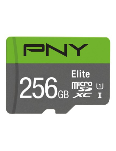 Sd Microsd Xc Card 256Gb Pny Elite Cl.10 U1 Retail