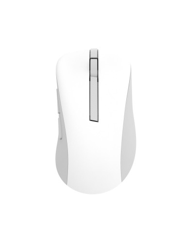 Asus Wireless Mouse Md102 Myszka Uniwersalne Po Prawej Stronie Rf Wireless + Bluetooth Optyczny 1600 Dpi