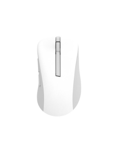 Asus Wireless Mouse Md102 Myszka Uniwersalne Po Prawej Stronie Rf Wireless + Bluetooth Optyczny 1600 Dpi
