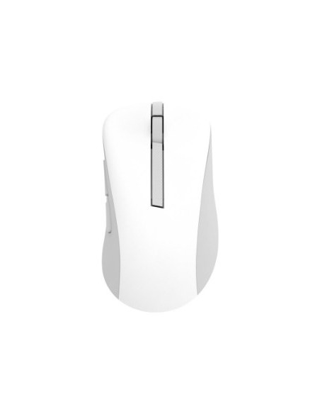 Asus Wireless Mouse Md102 Myszka Uniwersalne Po Prawej Stronie Rf Wireless + Bluetooth Optyczny 1600 Dpi