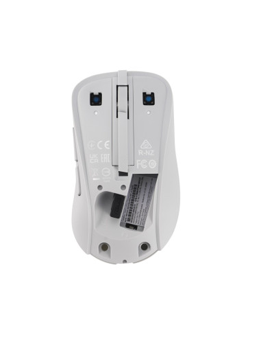 Asus Wireless Mouse Md102 Myszka Uniwersalne Po Prawej Stronie Rf Wireless + Bluetooth Optyczny 1600 Dpi