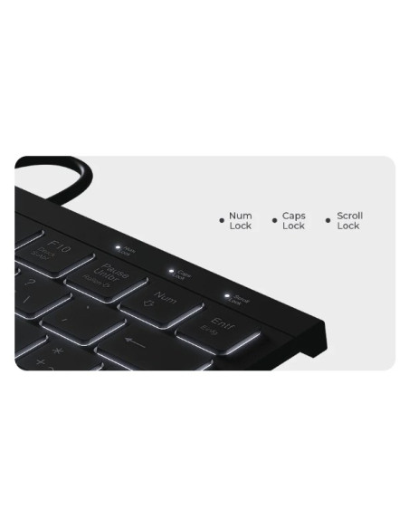 Keysonic Ksk-5011Elc (De) Klawiatura Dom Usb Qwertz Niemiecki Czarny