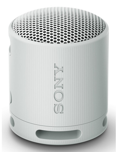 Sony Srs-Xb100 Głośnik Mono Przenośny Szary