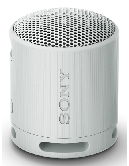 Sony Srs-Xb100 Głośnik Mono Przenośny Szary