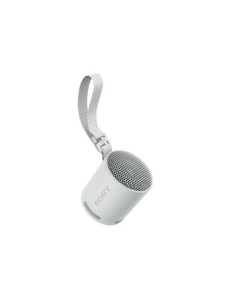 Sony Srs-Xb100 Głośnik Mono Przenośny Szary