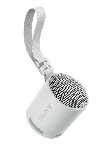 Sony Srs-Xb100 Głośnik Mono Przenośny Szary