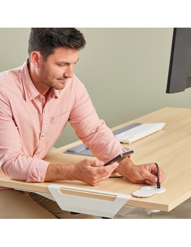 Fellowes 100137178 Rozgałęziacz 2 M 1 X Gniazdo Sieciowe Wewnętrzna Biały
