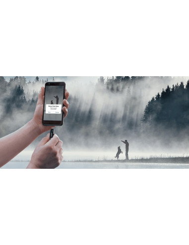 Usb-Stick  32Gb Sandisk Ultra Dual Go Android Typ C