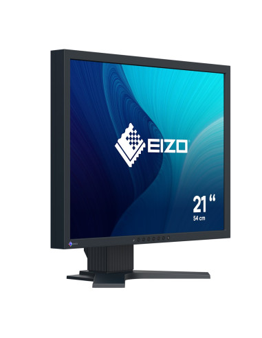 Monitor Eizo Flexscan S2134 - 54,1 Cm (21,3") - 1600 X 1200 Pikseli - Uxga - Led - 6 Ms