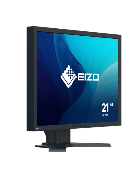 Monitor Eizo Flexscan S2134 - 54,1 Cm (21,3") - 1600 X 1200 Pikseli - Uxga - Led - 6 Ms