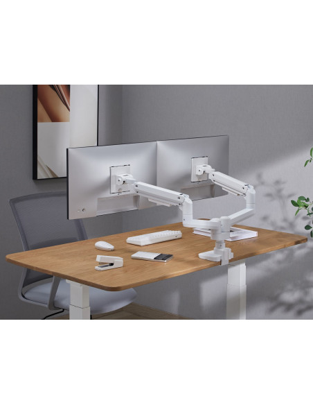 Equip 650183 Uchwyt / Stojak Do Monitorów 88,9 Cm (35") Biurko Biały
