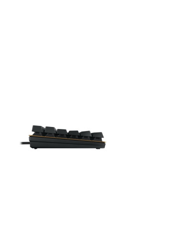 Cherry Kc 200 Mx Klawiatura Uniwersalne Usb Qwertz Niemiecki Czarny, Brąz