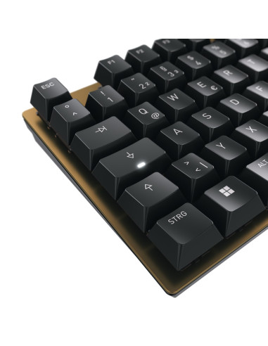 Cherry Kc 200 Mx Klawiatura Uniwersalne Usb Qwertz Niemiecki Czarny, Brąz