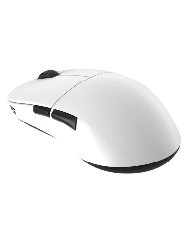 Endgame Gear Xm2We Myszka Gaming Po Prawej Stronie Rf Wireless + Usb Type-C Optyczny 19000 Dpi