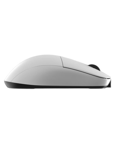 Endgame Gear Xm2We Myszka Gaming Po Prawej Stronie Rf Wireless + Usb Type-C Optyczny 19000 Dpi
