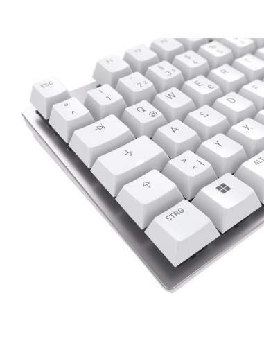 Cherry Kc 200 Mx Klawiatura Uniwersalne Usb Qwertz Niemiecki Srebrny, Biały