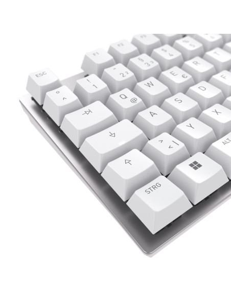Cherry Kc 200 Mx Klawiatura Uniwersalne Usb Qwertz Niemiecki Srebrny, Biały