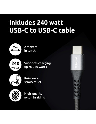 Intenso 7810010 Adapter Zasilający/ Inwentor Wewnętrzna 100 W Czarny