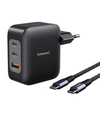 Intenso 7810010 Adapter Zasilający/ Inwentor Wewnętrzna 100 W Czarny