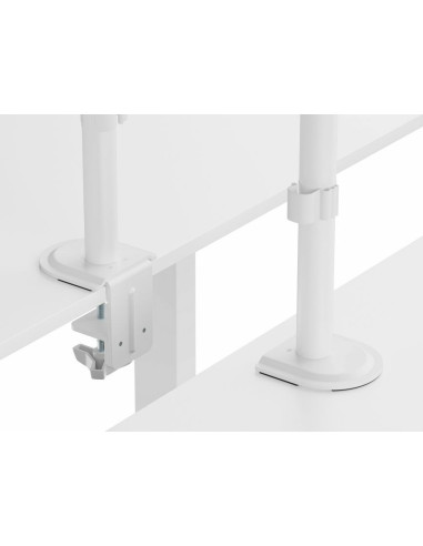 Equip 650167 Uchwyt / Stojak Do Monitorów 81,3 Cm (32") Biurko Biały