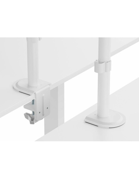 Equip 650167 Uchwyt / Stojak Do Monitorów 81,3 Cm (32") Biurko Biały