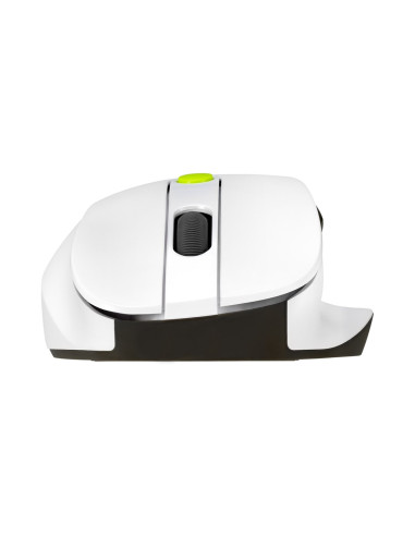 Asus Md105 Mouse/Vt-Gn Myszka Uniwersalne Po Prawej Stronie Rf Wireless + Bluetooth 2400 Dpi