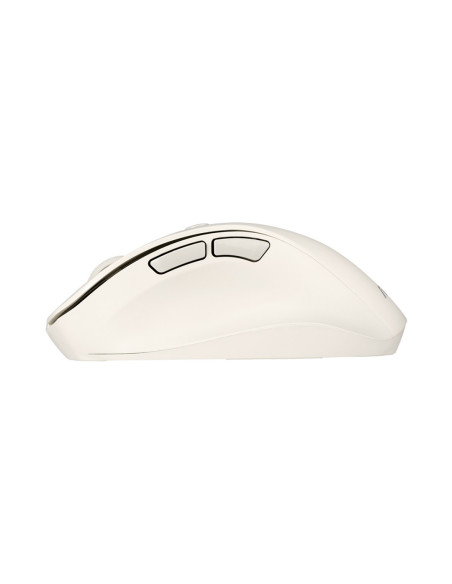 Asus Md105 Mouse/Mk-Wh Myszka Uniwersalne Po Prawej Stronie Rf Wireless + Bluetooth 2400 Dpi