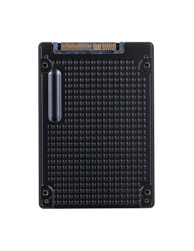 Dysk Ssd Western Digital Ultrastar Sn655 Wus5Ea1A1Esp7E3 15.36Tb U.3 Pci Ise 0Ts2463 (Dwpd 1)