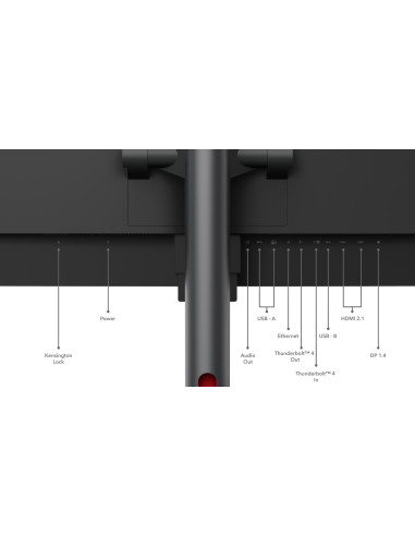 Lenovo Thinkvision P49W-30 Monitor Komputerowy 124,5 Cm (49") 5120 X 1440 Px Dual Wqhd Led Czarny