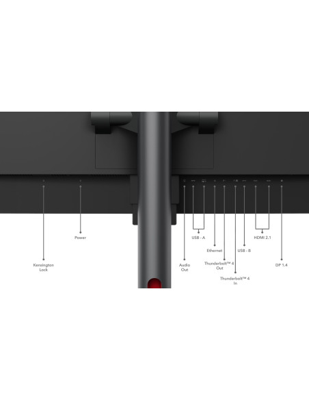 Lenovo Thinkvision P49W-30 Monitor Komputerowy 124,5 Cm (49") 5120 X 1440 Px Dual Wqhd Led Czarny