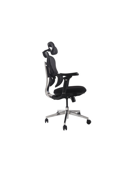 Equip Ergonomischer Băľrostuhl+Kopf/Armstăľtzen+Sfs    Schwarz Lite Retail