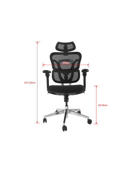 Equip Ergonomischer Băľrostuhl+Kopf/Armstăľtzen+Sfs    Schwarz Lite Retail