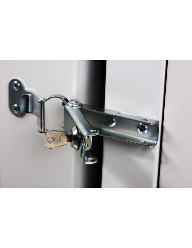 Digitus Szafa Sieciowa Wisząca Unique 19" 9U Rack 600X600, Drzwi Szyba, Szary, Dzielona, Złożona, 100Kg