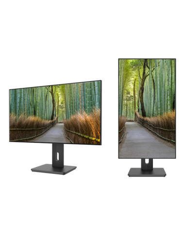 Monitor Japannext 68.5Cm Jn-27Ips4Flwqhdr-Hsp 16:9 Hdmi/Dp Wqhd