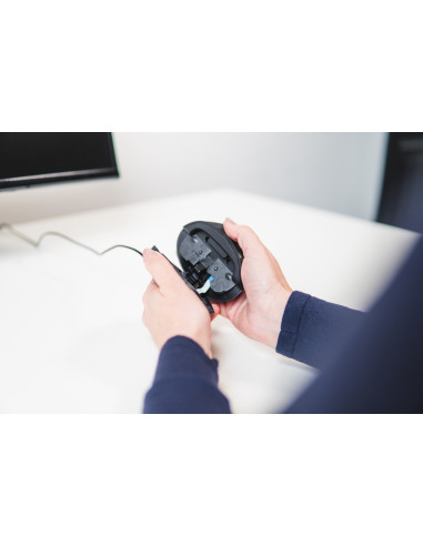 Bezprzewodowa Sprzedaż Detaliczna Myszy Bakkerelkhuizen Oyster Mouse